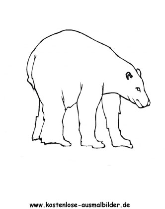 Ausmalbild Eisbär 2