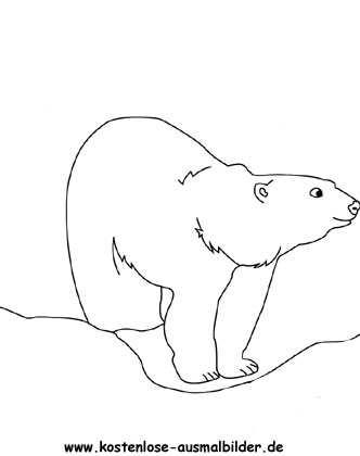 Ausmalbild Eisbär 4