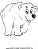 Ausmalbild Eisbär 1
