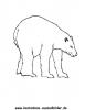 Ausmalbild Eisbär 2