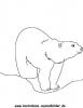 Ausmalbild Eisbär 4
