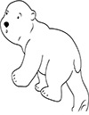 Ausmalbild Eisbär Baby