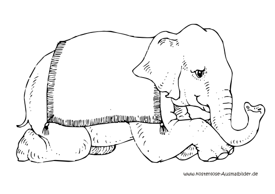 ausmalbilder zirkuselefant  tiere zum ausmalen
