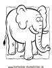 Ausmalbild Elefant 6