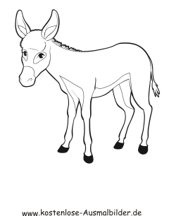 Esel Bilder Zum Ausmalen Kostenlos