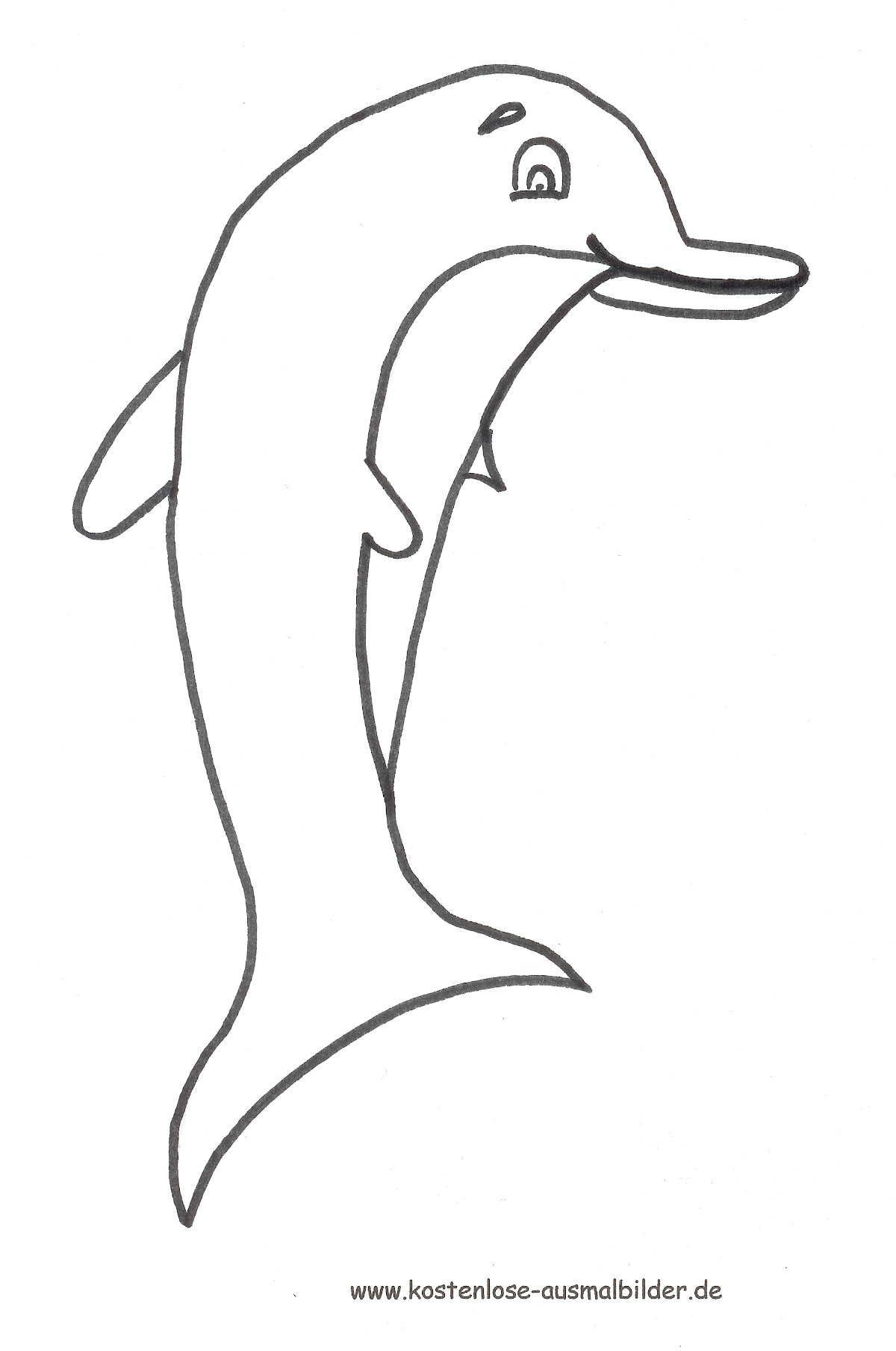 ausmalbild delfin zum ausdrucken