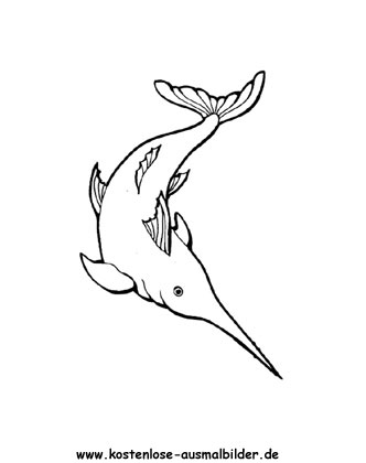 Ausmalbild Schwertfisch 2
