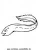 Ausmalbild Aal 1