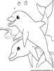 Ausmalbild Delphine