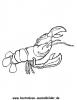 Ausmalbild Hummer 2