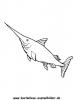 Ausmalbild Schwertfisch 1