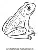 Ausmalbild Frosch 1