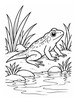 Ausmalbild Jungfrosch am Teich