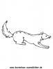 Ausmalbild Fuchs 4