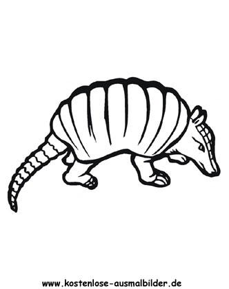 Ausmalbild Gürteltier 2
