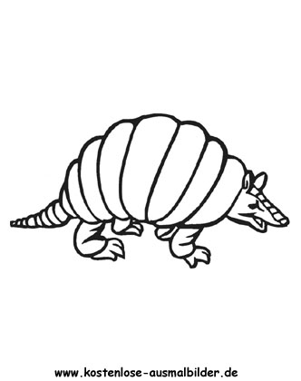 Ausmalbild Gürteltier