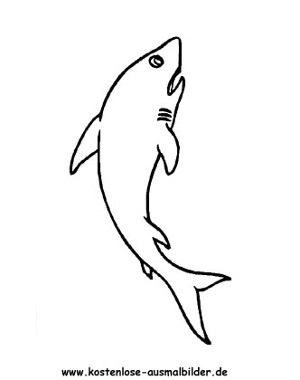 Ausmalbild Hai 5