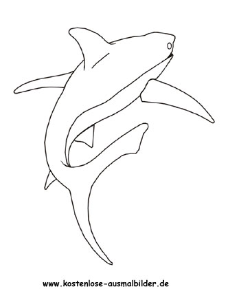 Ausmalbild Hai Zum Ausdrucken