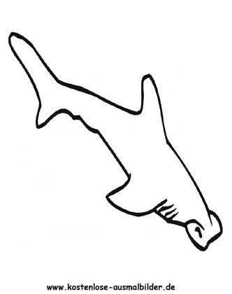 Ausmalbild Hammerhai