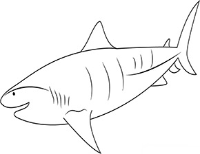 Ausmalbild Tigerhai unter Wasser