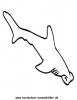 Ausmalbild Hammerhai