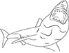 Ausmalbild Weisser Hai jagt