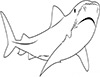 Ausmalbild ein Tigerhai