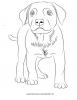 Ausmalbild Labrador Hund