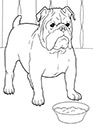 Ausmalbild Bulldogge Hund