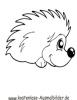 Ausmalbild Igel 3