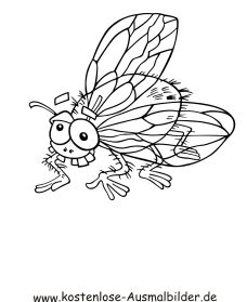 Ausmalbild Fliege