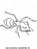 Ausmalbild Ameise 2