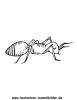 Ausmalbild Ameise 3