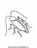 Ausmalbild Kakerlake