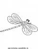 Ausmalbild Libelle