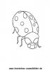 Ausmalbild Marienkäfer 2