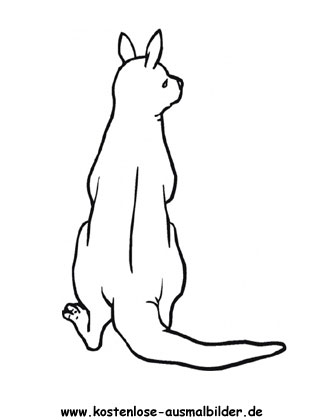 Ausmalbild Känguru 4