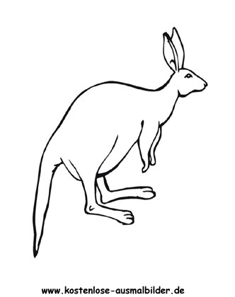 Ausmalbild Känguru 5