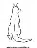 Ausmalbild Känguru 4