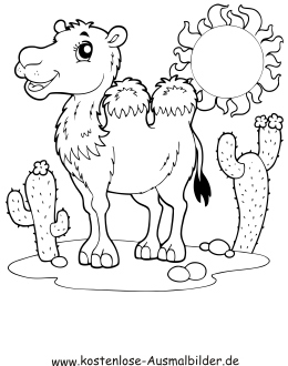 Ausmalbild Kamel in der Wüste