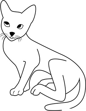 Ausmalbild Weisses Kätzchen