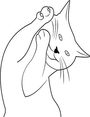 Ausmalbild verspielte Mietzekatze