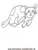 Ausmalbild Katze 1
