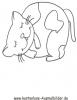 Ausmalbild dicke Katze
