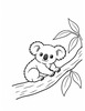 Ausmalbild Koala Jungtier auf einem Ast