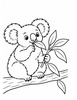 Ausmalbild Koala frisst Eukalyptusblätter
