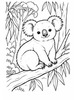 Ausmalbild Koala im Eukalyptuswald