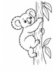 Ausmalbild Koala klettert am Eukalyptusbaum