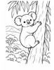 Ausmalbild Koala klettert in australischer Landschaft