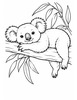 Ausmalbild Koala ruht auf einem Ast